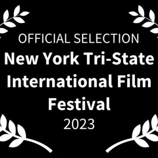 STAY STILL SO YOU DON’T HURT By Nina Rapi, Official Selection @ New York And Rome Festivals